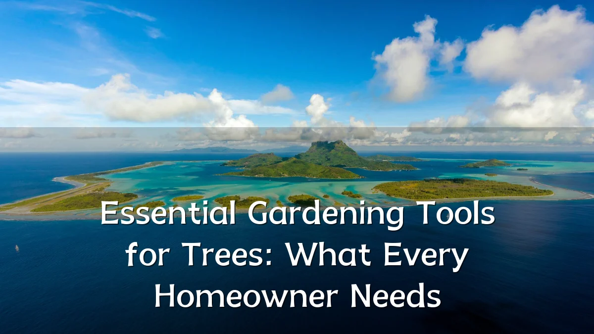 Essential Gardening Tools for Trees: What Every Homeowner Needs