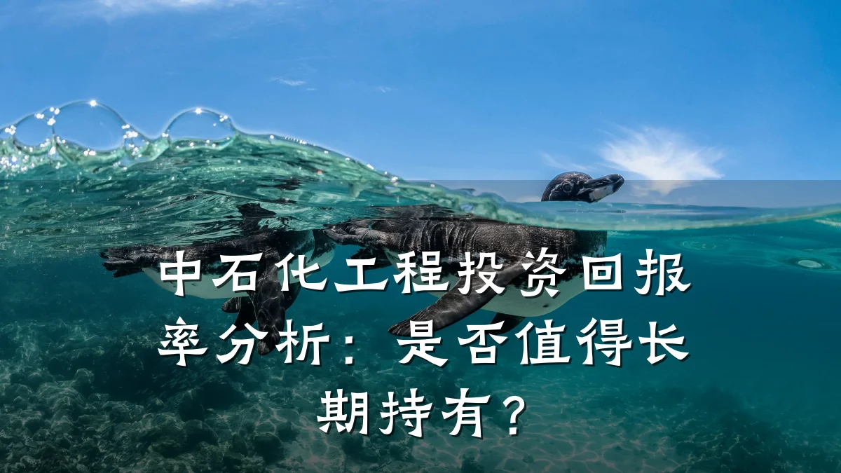 中石化工程投资回报率分析:是否值得长期持有?