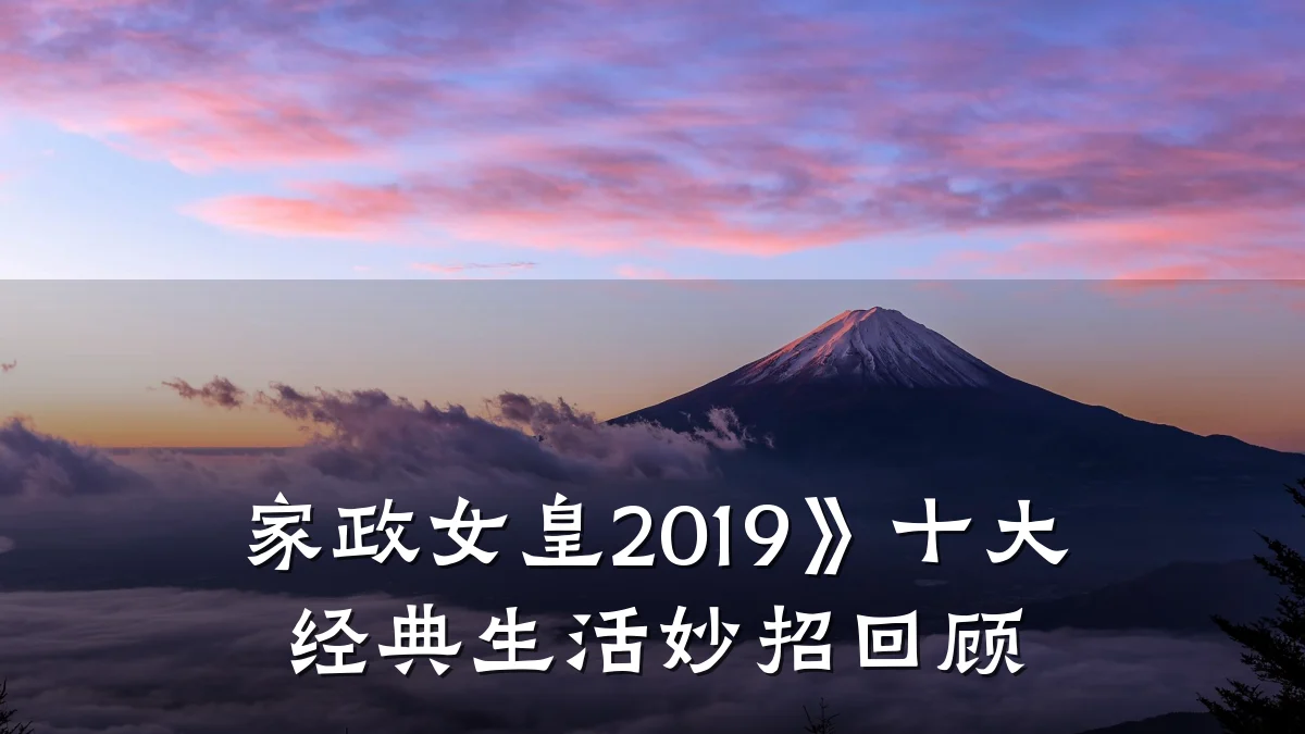 家政女皇2019》十大经典生活妙招回顾