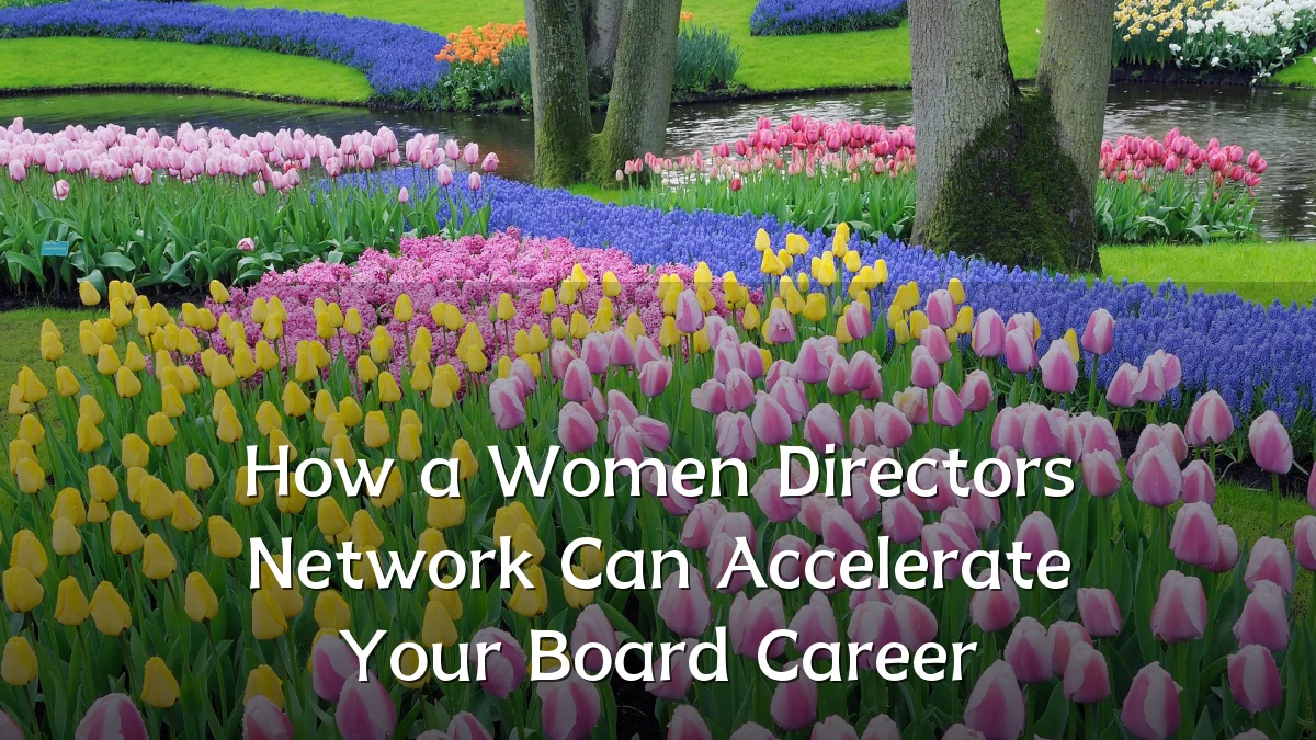 How a Women Directors Network Can Accelerate Your Board Career