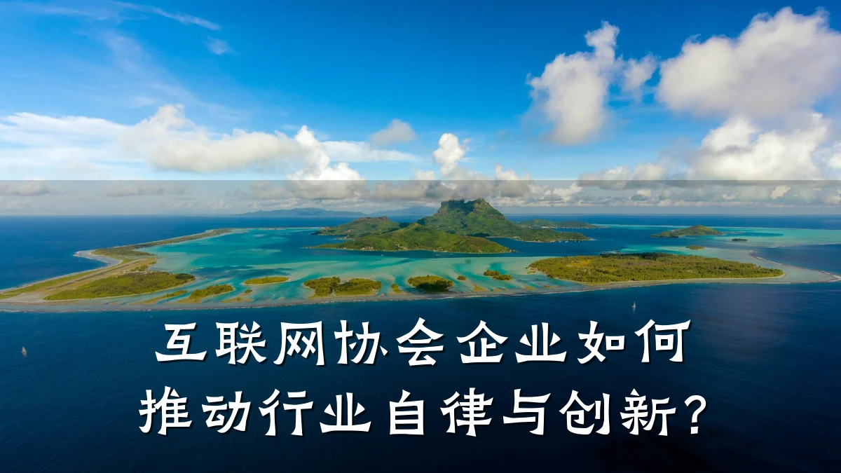 互联网协会企业如何推动行业自律与创新?
