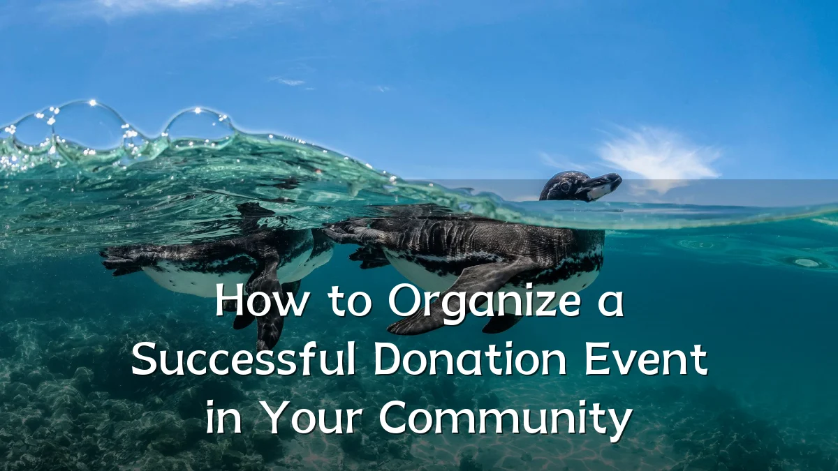 How to Organize a Successful Donation Event in Your Community