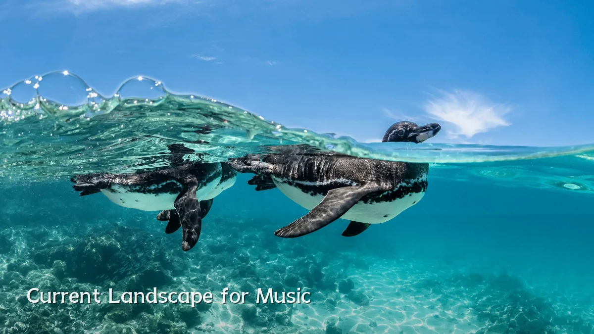 Current Landscape for Music
