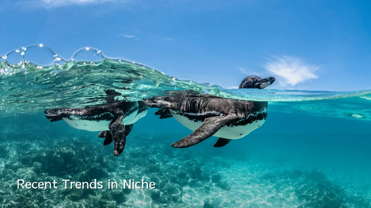 Recent Trends in Niche