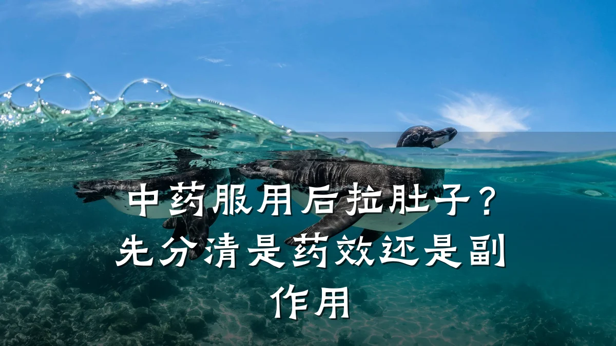 中药服用后拉肚子?先分清是药效还是副作用