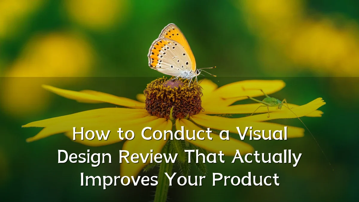 How to Conduct a Visual Design Review That Actually Improves Your Product