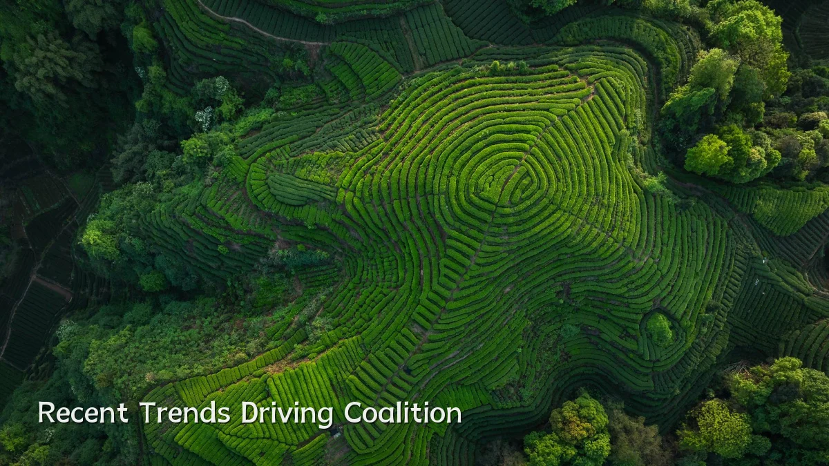 Recent Trends Driving Coalition