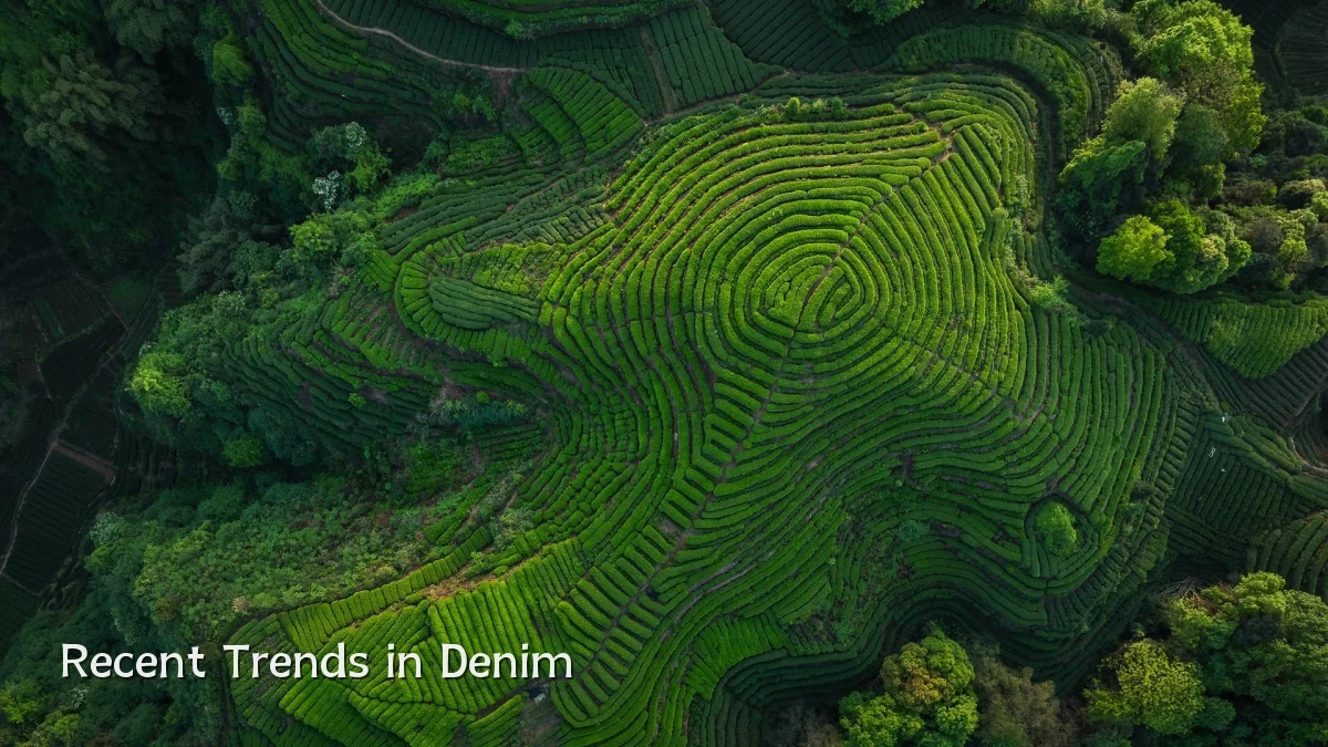 Recent Trends in Denim