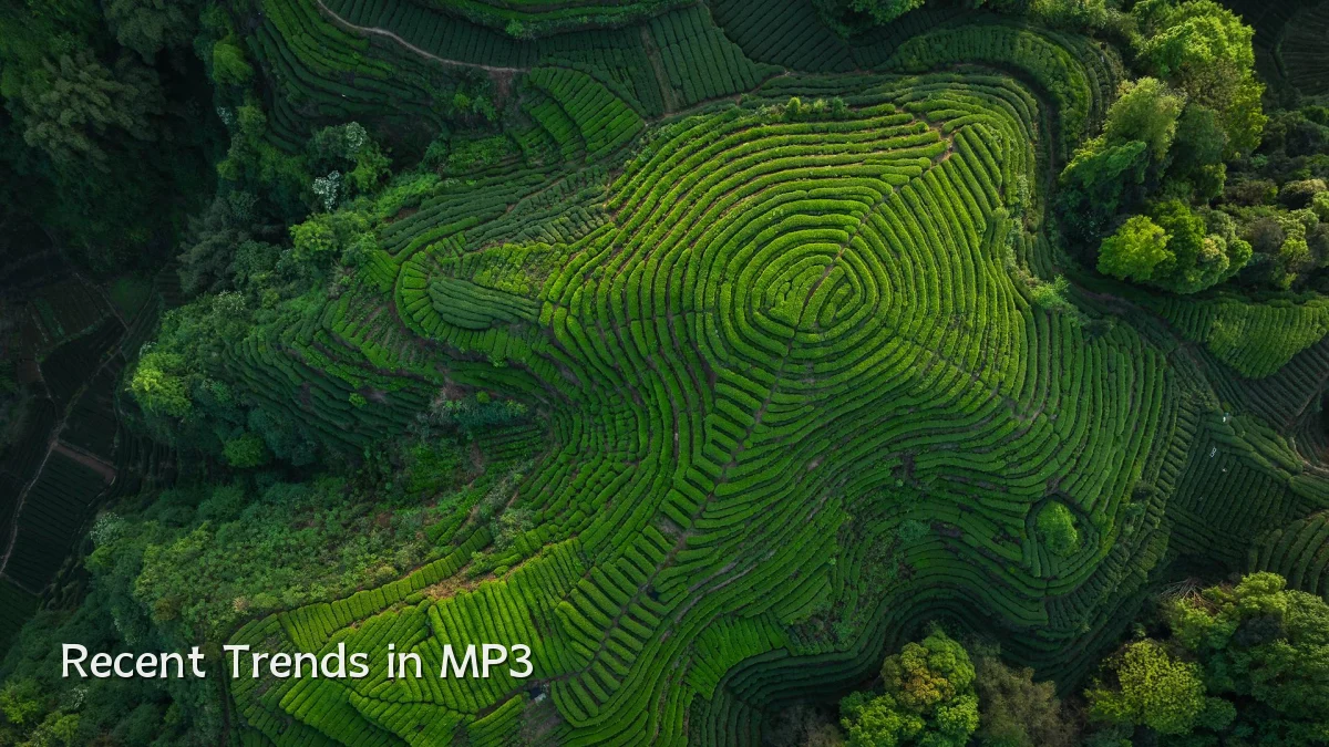 Recent Trends in MP3