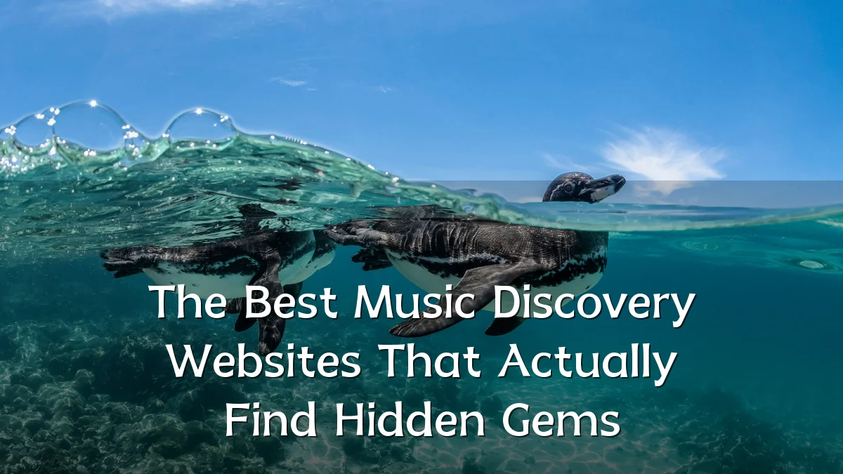 The Best Music Discovery Websites That Actually Find Hidden Gems