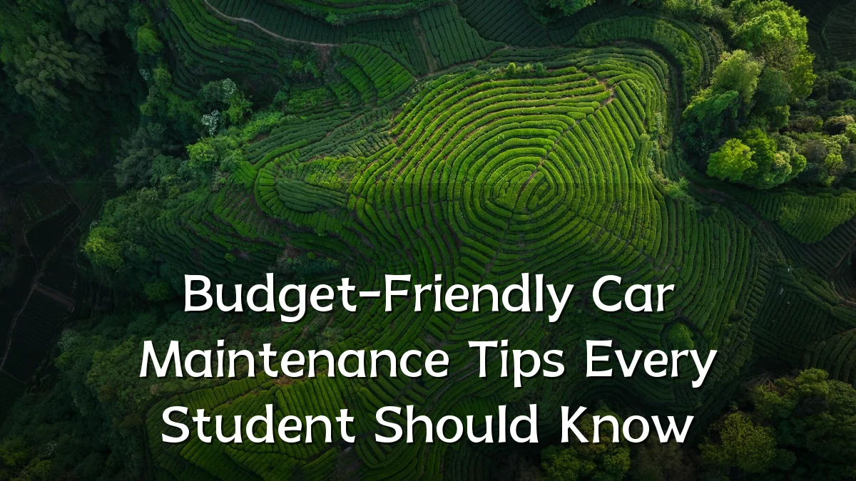Budget-Friendly Car Maintenance Tips Every Student Should Know