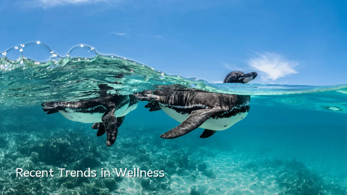 Recent Trends in Wellness